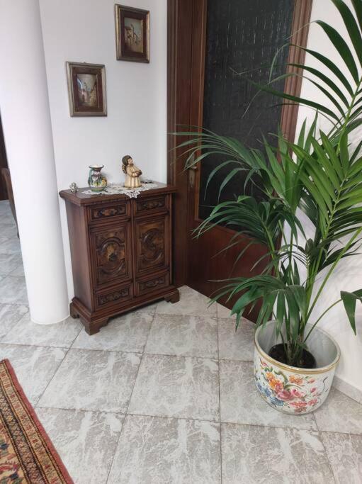 فيلا Casa Argia بادوفا المظهر الخارجي الصورة