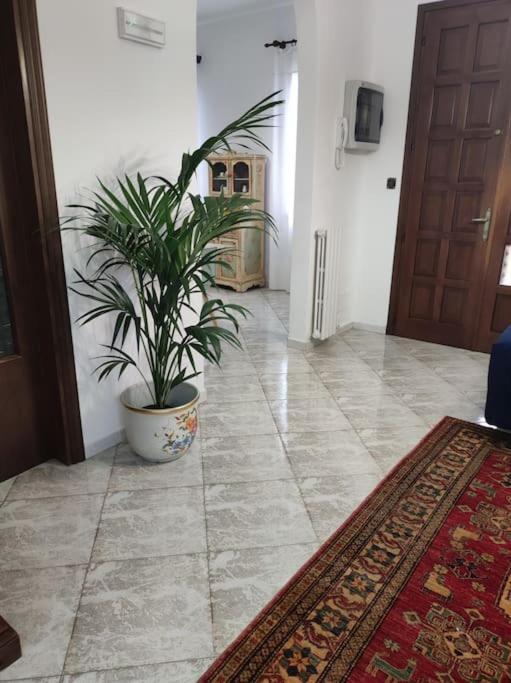 فيلا Casa Argia بادوفا المظهر الخارجي الصورة